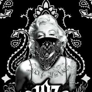 Meet your Posher, Rey